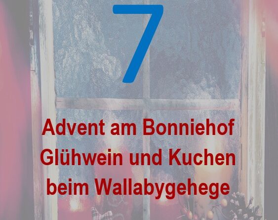 7. Adventfenster