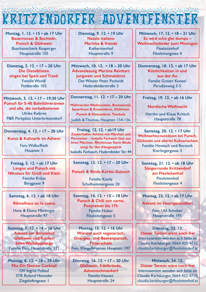 Adventfenster 2025